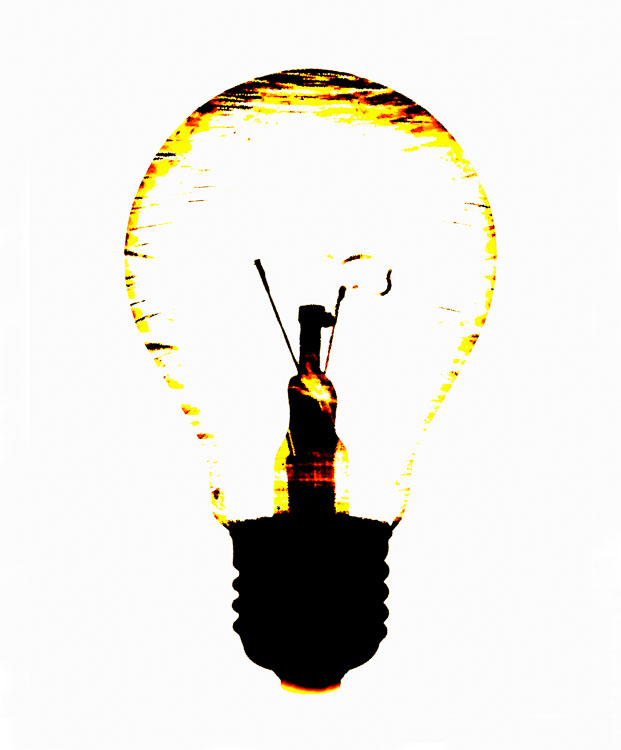 Digitalis Digigramm – Metamorphose eines Fotogramms - Glühbirne