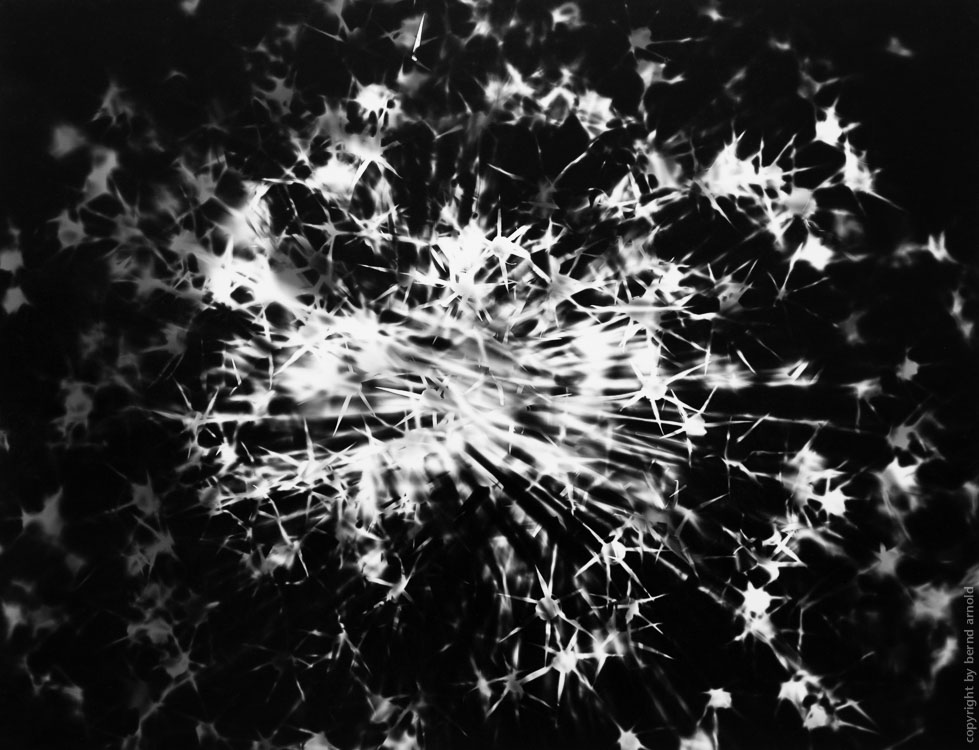 Digitalis Digigramm – Metamorphose eines Fotogramms - Explosion