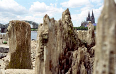 Fluss Rhein Jahrhundert Dürre in Köln 2003