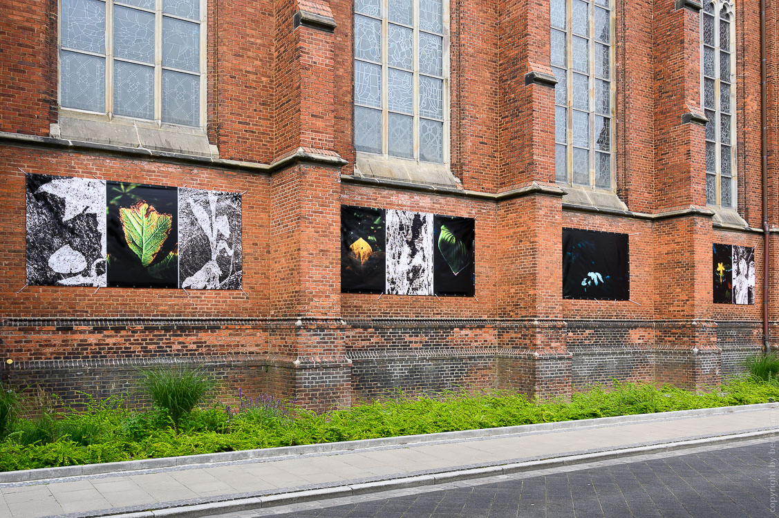 Fotoserie Ausstellung Die Entdeckung der Stille in Oldenburg